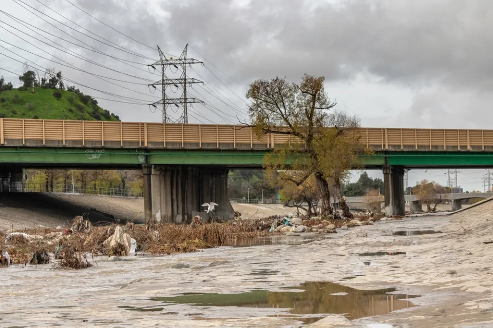 View of Los Angeles River at Glendale Narrows segment with tree and overpass